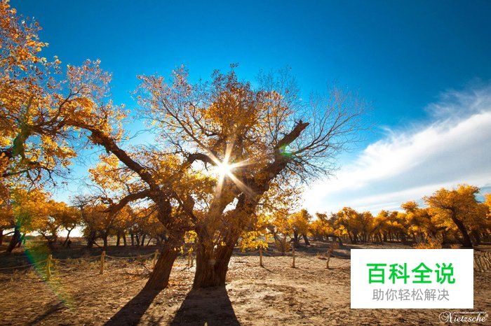 什么情况下才要用手动对焦