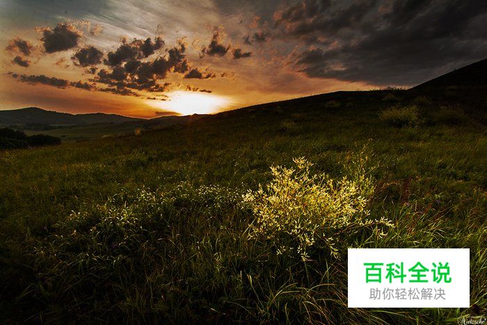 什么情况下才要用手动对焦