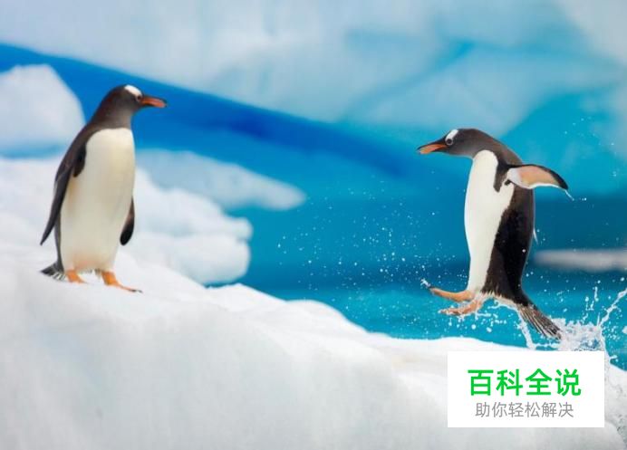 什么样的内容会被企鹅平台判定为违规？