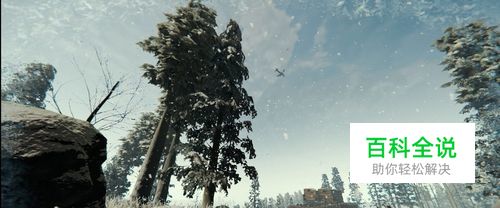 森林：第二个结局怎么做？