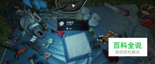 森林：乌龟壳怎么获取