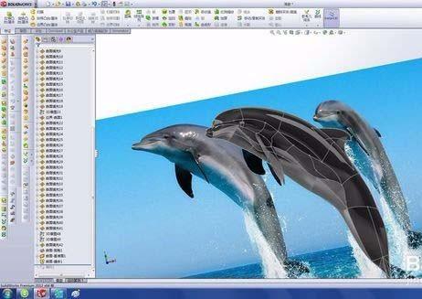 solidworks怎么绘制漂亮的海豚?