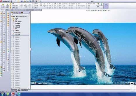 solidworks怎么绘制漂亮的海豚?