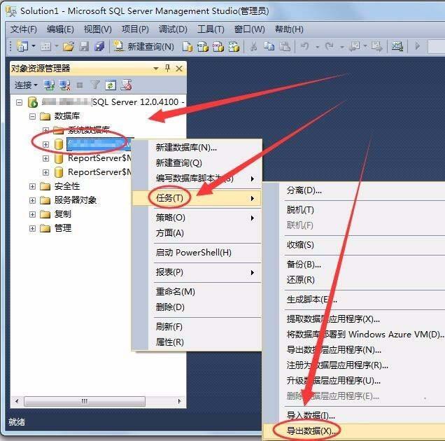 SQL Server数据库中的表和视图怎么导出?