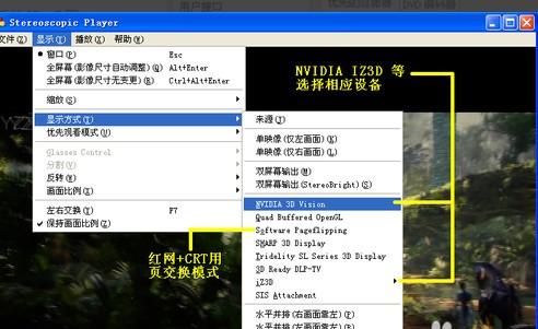 stereoscopic player怎么设置