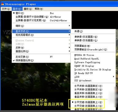 stereoscopic player怎么设置