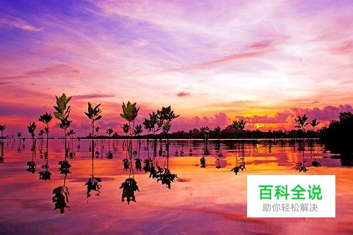 十条海滩拍摄的小建议