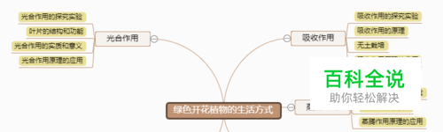 生物必修--绿色开花植物的生活方式归纳思维导图