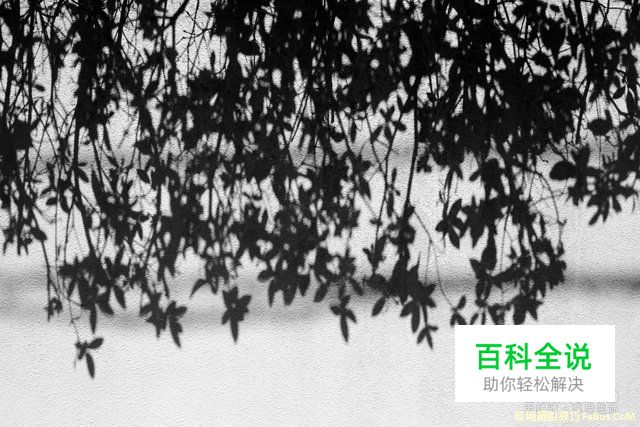 摄影的光影游戏