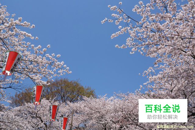 摄影的光影游戏