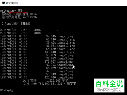 使用dir命令获取文件列表的方法