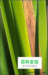 摄影构图与视觉设计要素