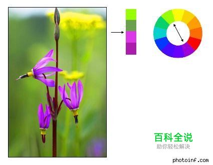 摄影构图与视觉设计要素