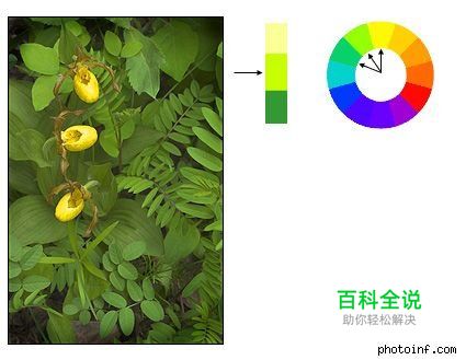 摄影构图与视觉设计要素