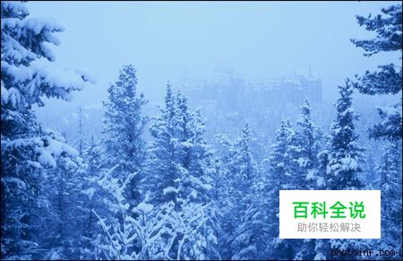 摄影构图与视觉设计要素