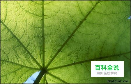 摄影构图与视觉设计要素