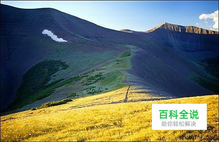 摄影构图与视觉设计要素