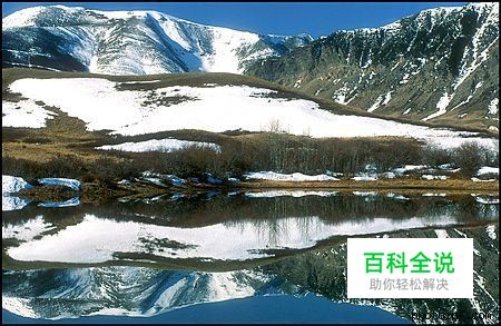 摄影构图与视觉设计要素