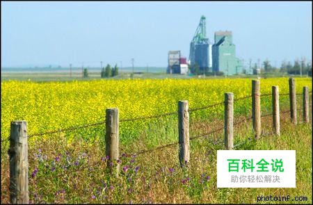 摄影构图与视觉设计要素