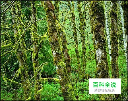 摄影构图与视觉设计要素