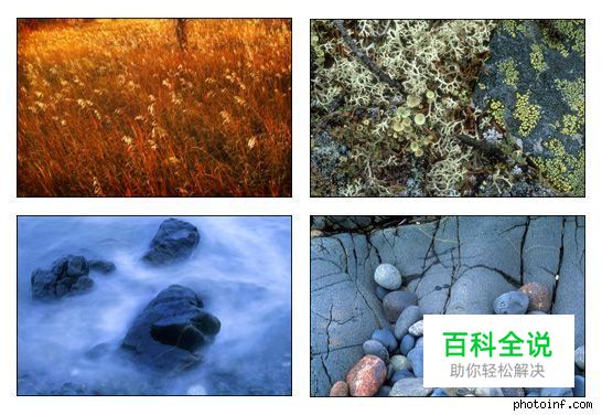 摄影构图与视觉设计要素