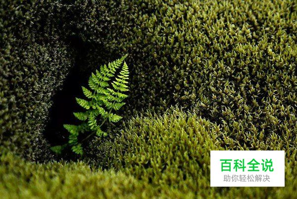 摄影构图一招让你脑洞大开