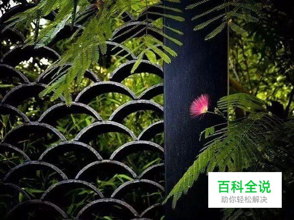 摄影构图一招让你脑洞大开