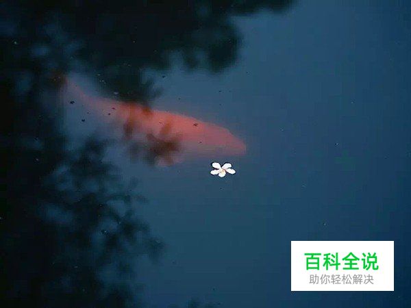 摄影构图一招让你脑洞大开