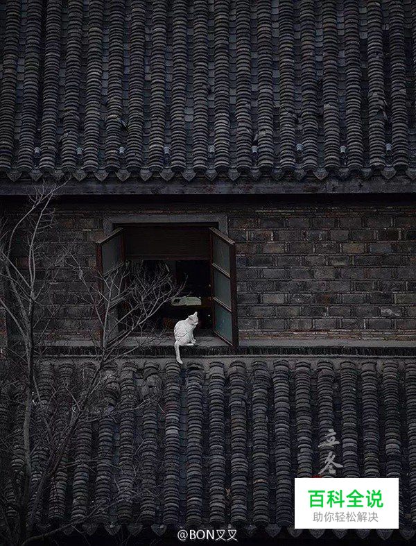 摄影构图一招让你脑洞大开