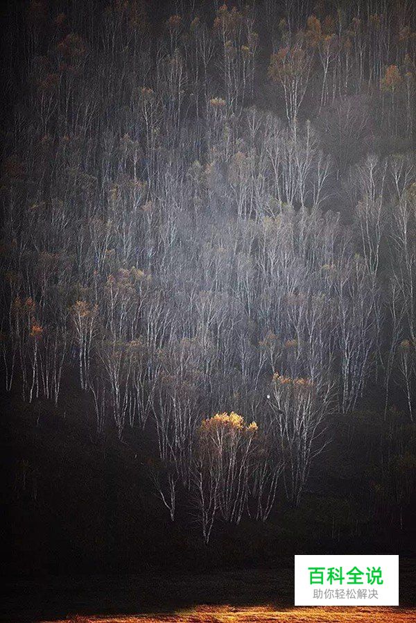 摄影构图一招让你脑洞大开