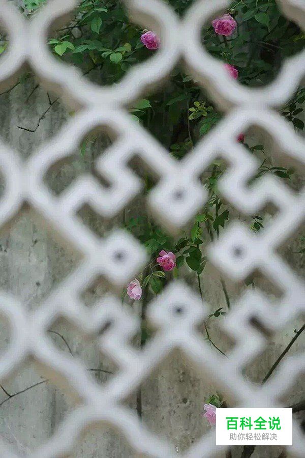 摄影构图一招让你脑洞大开