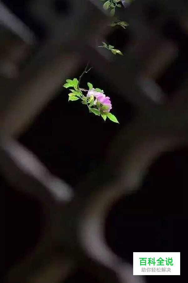 摄影构图一招让你脑洞大开