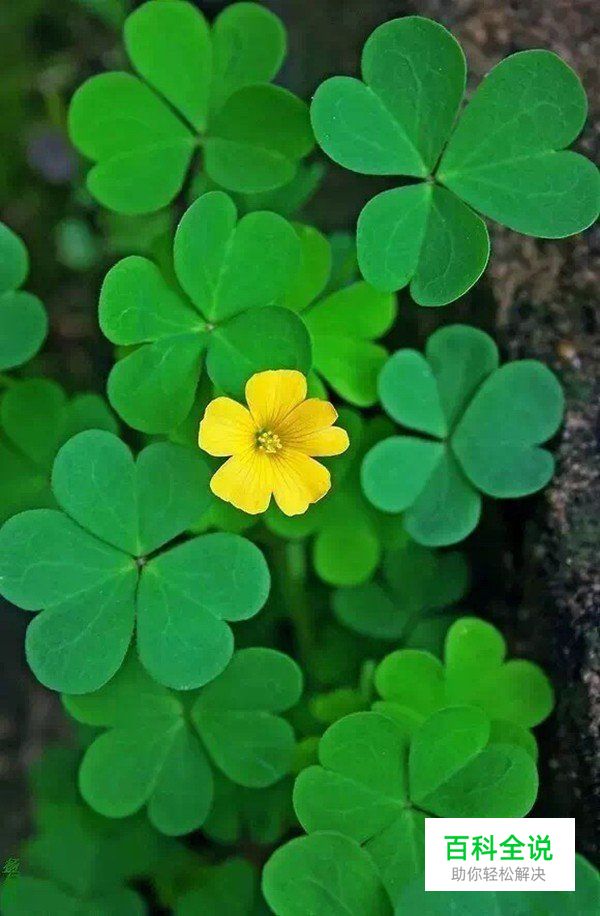 摄影构图一招让你脑洞大开