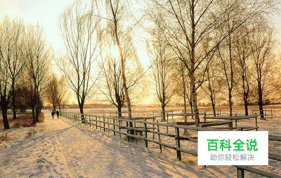 摄影进阶教程高级曝光技术