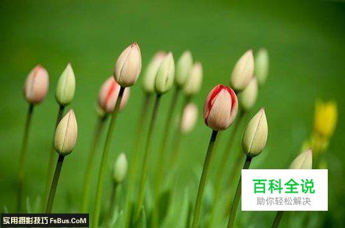 摄影入门从认识摄影作品开始