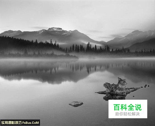 摄影入门从认识摄影作品开始