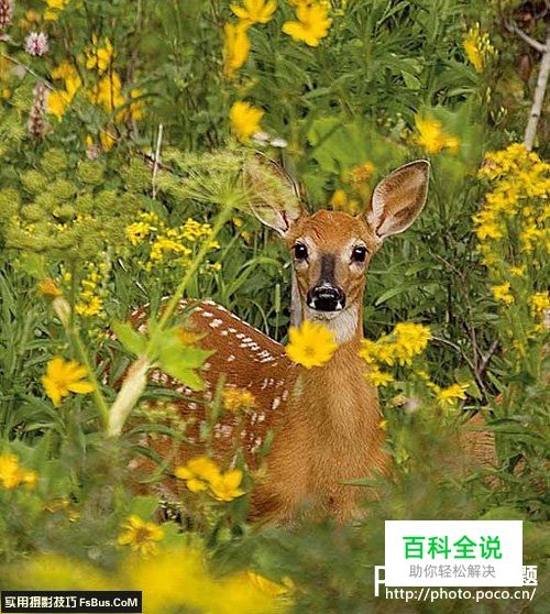 摄影师的能力不只是按下快门