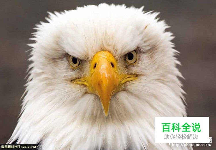 摄影师的能力不只是按下快门