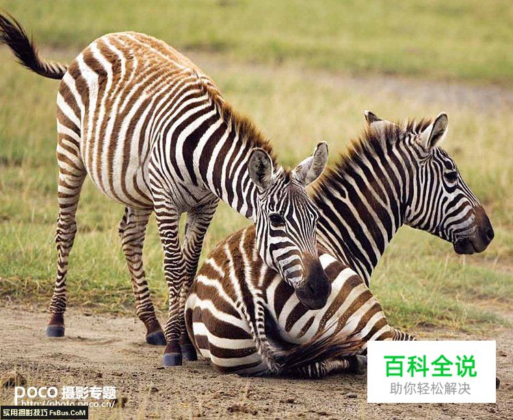 摄影师的能力不只是按下快门