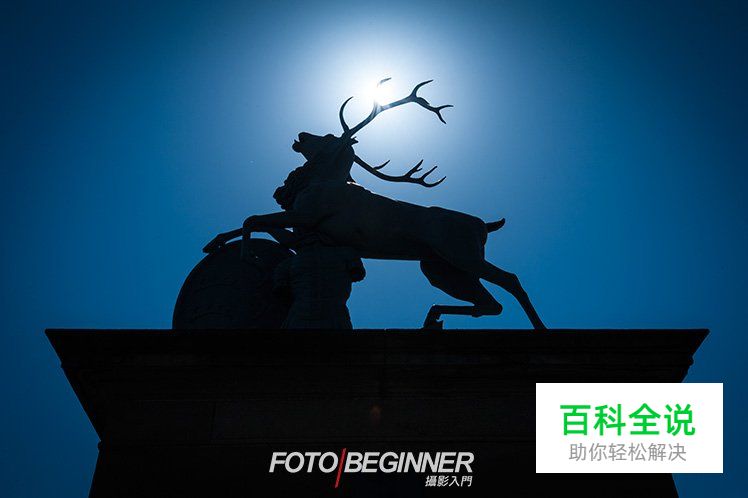 摄影新手使用矩阵测光时的技巧