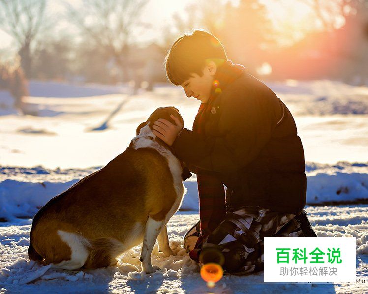 摄影新手使用矩阵测光时的技巧