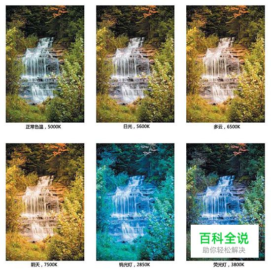 实战白平衡的创意应用