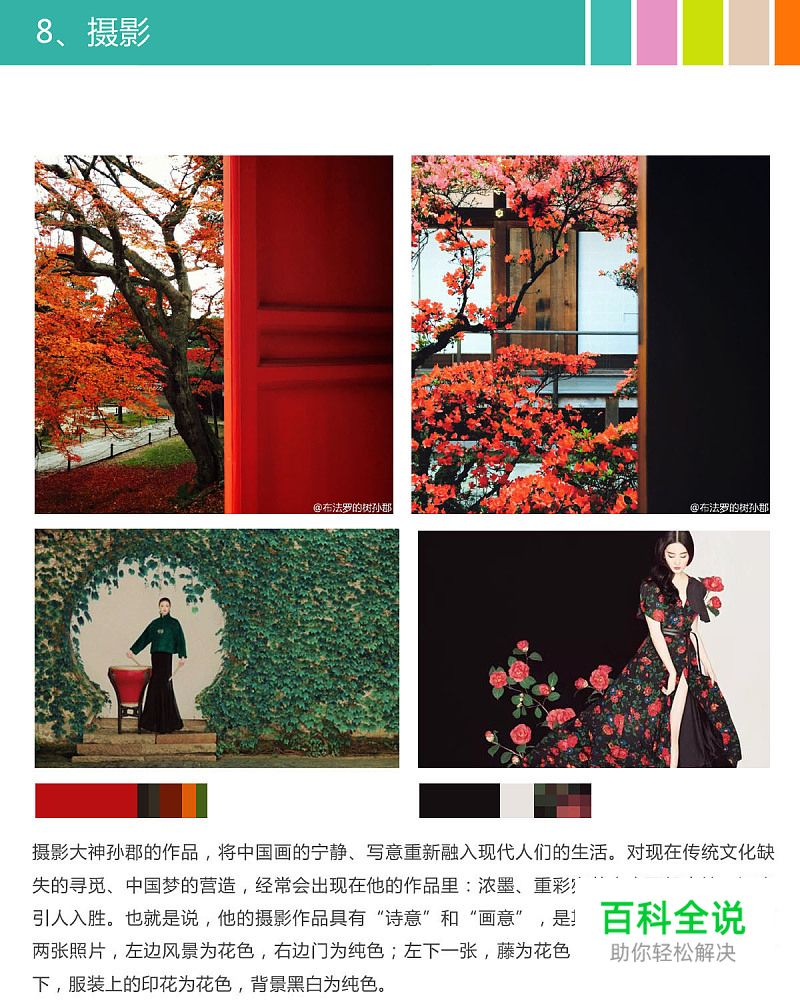 色之道3-花色和纯色的对比和搭配