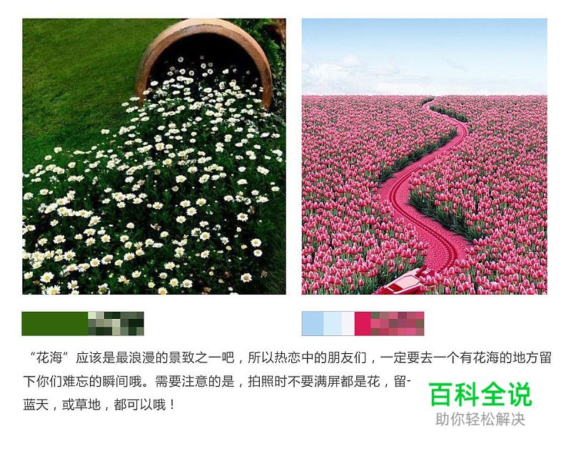 色之道3-花色和纯色的对比和搭配