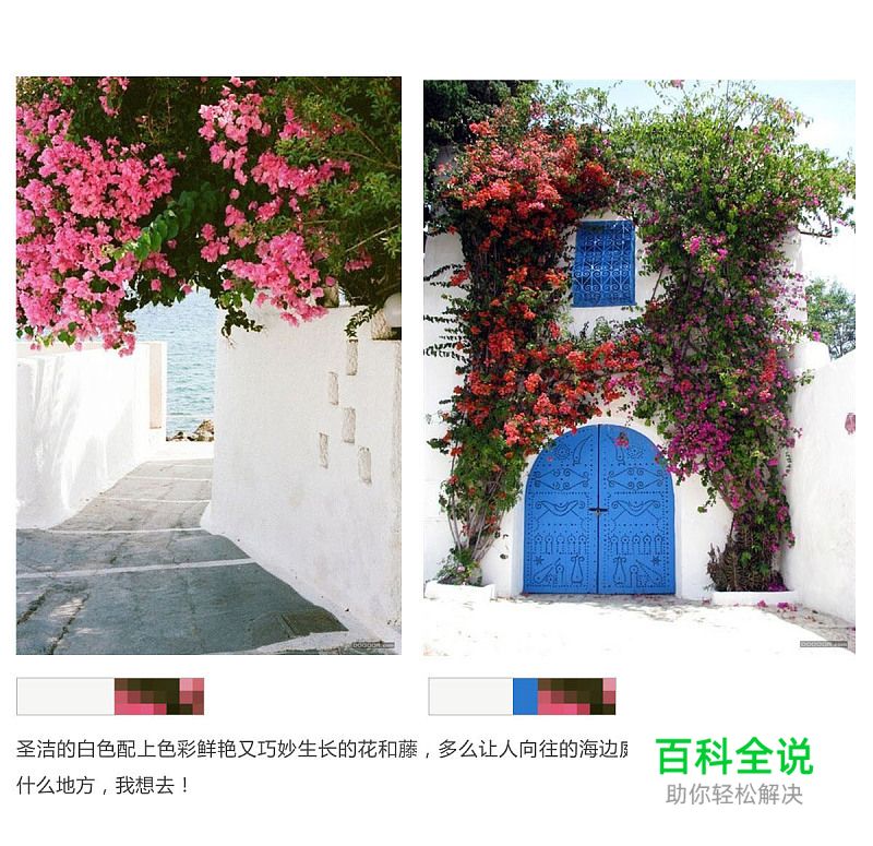 色之道3-花色和纯色的对比和搭配