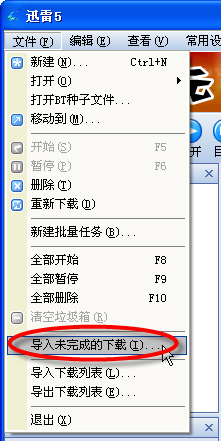 誓做下载多面手迅雷支持BT和电骡导入功能