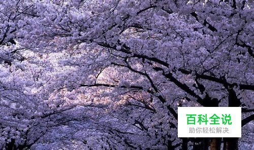 淘宝充话费充错号码了怎么补救