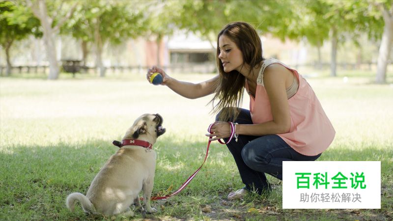 提高工作效率：给设计师的10条建议