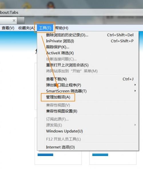通过禁用加载项来提高浏览器速度