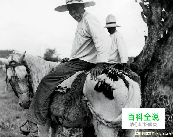 图解瞬间与构图的方法